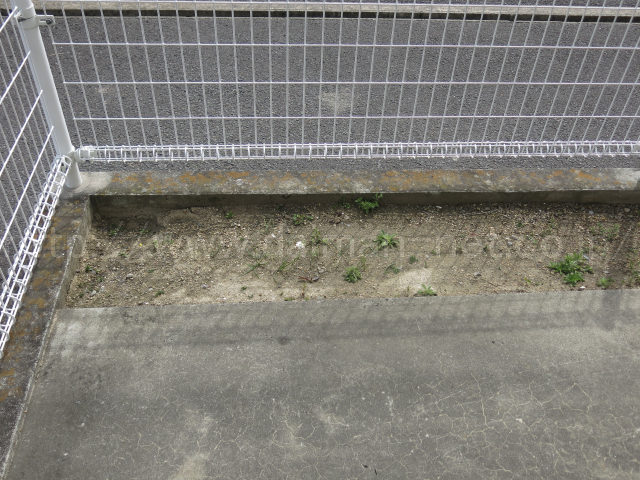 専用庭