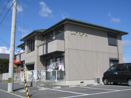 Ck02319画像