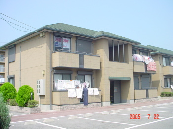 Ck02334画像