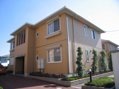 Ck02883画像