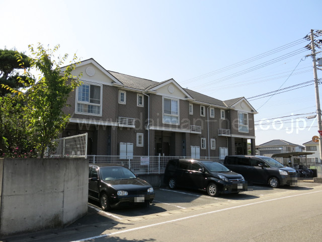 Ck03556画像
