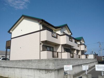 Ck03943画像