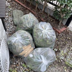 オープンハウス除草