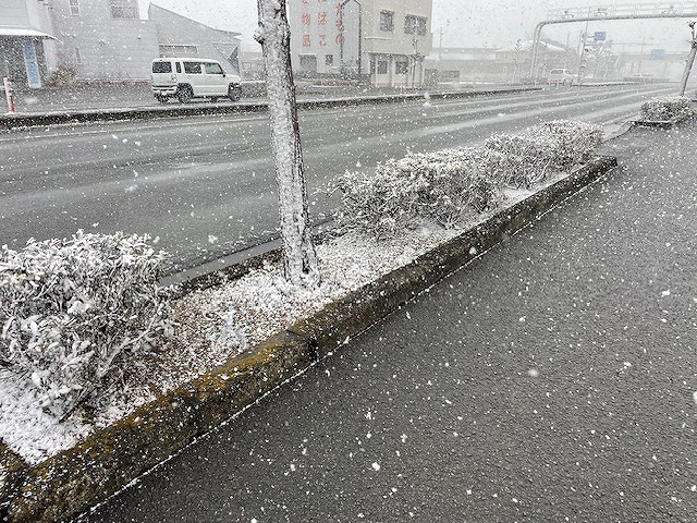 2026年2月8日極寒藍住