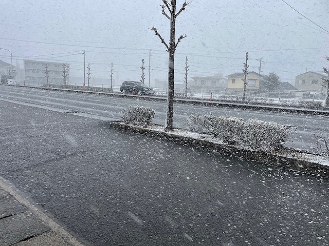 2026年2月8日極寒藍住