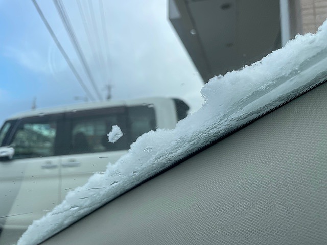 2026年2月8日極寒藍住